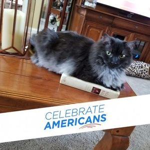 Meet your Posher, Donna